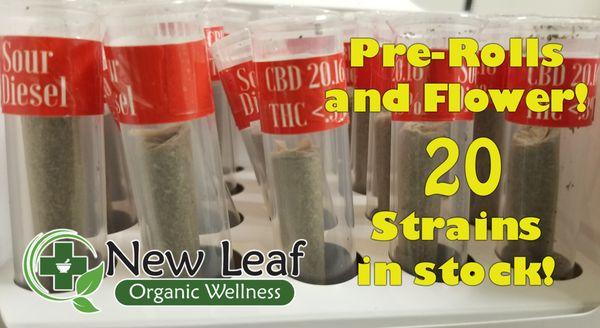 New Leaf Organic Wellness