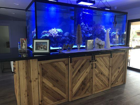 400 Gallon Saltwater Aquarium