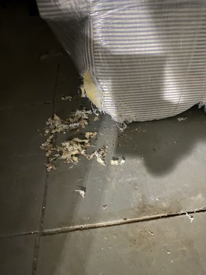 Rodent eaten personal property from inside a Storage Rentals of America storage unit.