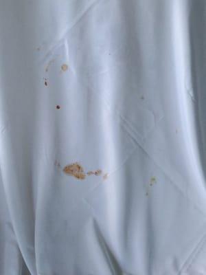 Barbecue sauce on Tablecloth out of the bag you can still see creases in them