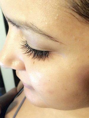 Luscious Lashes