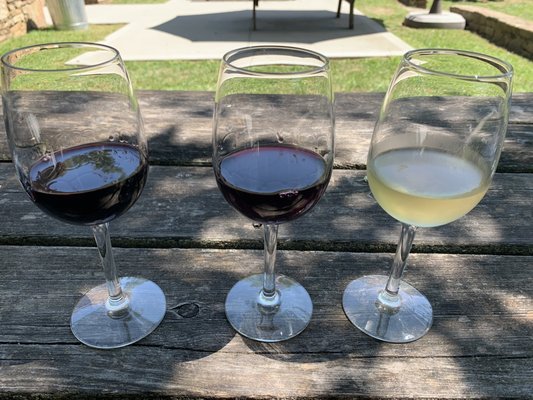 Terra vox wine tastings