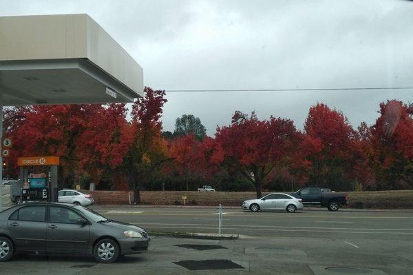 Love the colors on the trees! We get these colors in California?  :-)