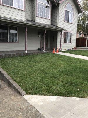 Landscaping and sidewalks