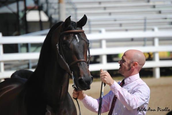 CPM Stables