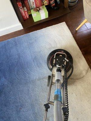 A To Z Sparkling Carpet Cleaning