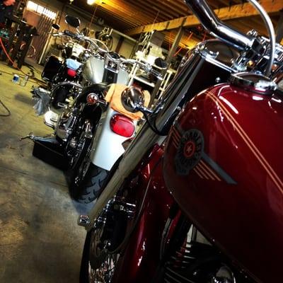 Quality service work on your Harley Davidson!!