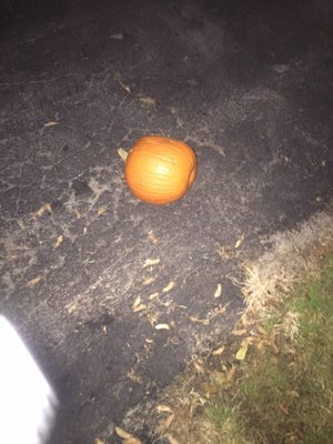 This is the pumkin he hit on the way out