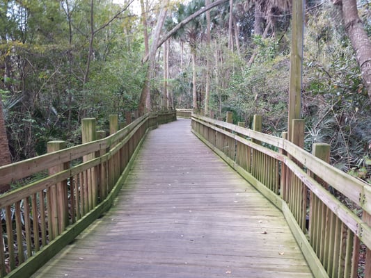 Love the trails and boardwalks of Celebration.