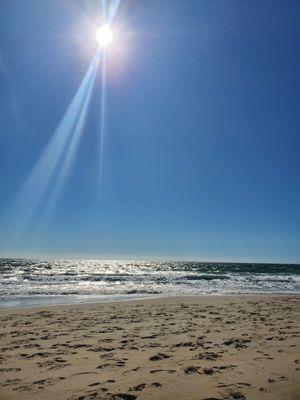 Beach beauty