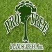 Pro Tree & Landscape Co Inc.