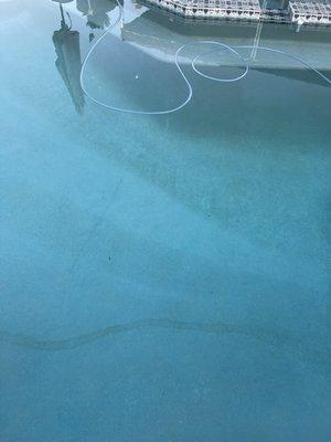 Streaks in my pool, for the plaster was etched from acid wash