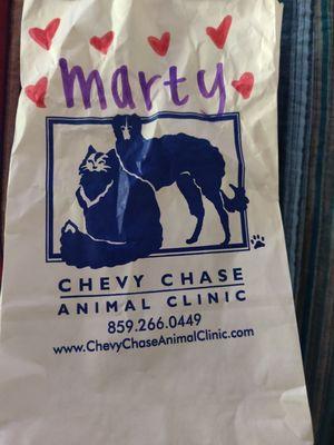 Our fur kid Marty joined our family and the Chevy Chase Animal Clinic Family!