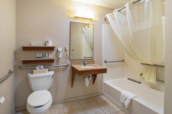 Handicap Room bathroom