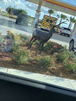 deer statue, there is one on each side of the parking spaces at the front entrance.