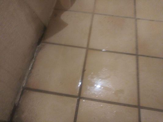 Water onfloor feom broken shower