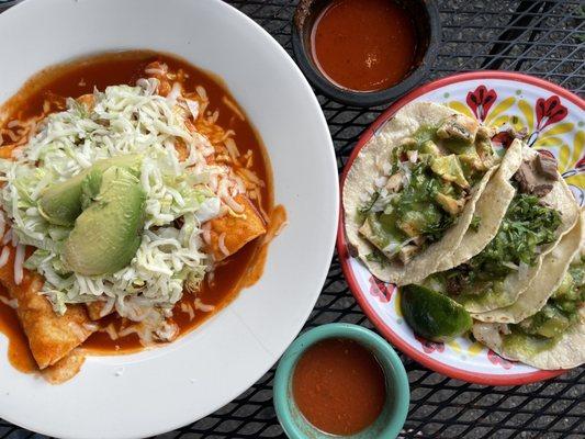 Chicken Enchiladas && Tacos