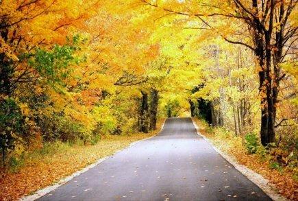 Fall is around the corner...beautiful Lancaster County back roads