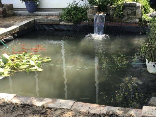 Fish pond install