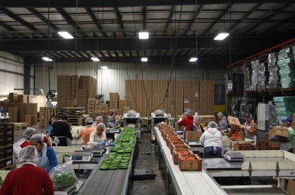 Monroe Packing Facility at United Fruit and Produce