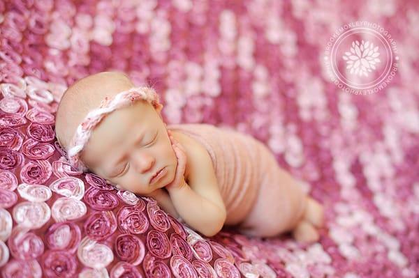 Elkin, NC Newborn Photographer