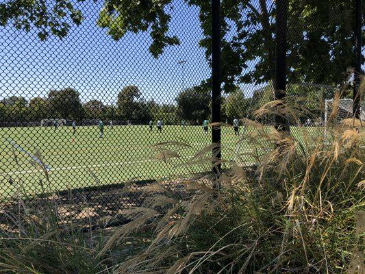 Stanford / Palo Alto Community Playing Fields!!!