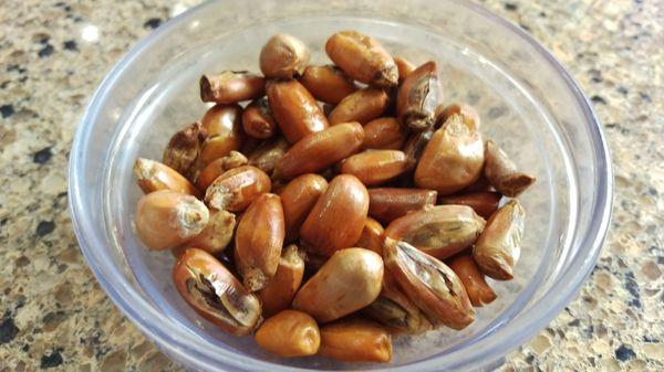 Maiz Tostado / Deep Fried Corn Nuts