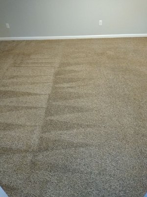 A successful job. Your carpets are now SunBreeze clean.