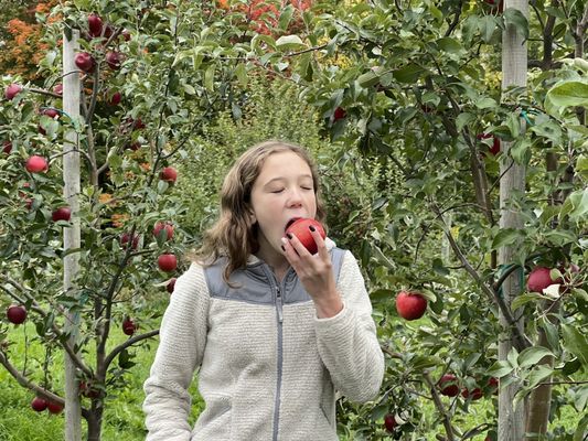 Eating Apple