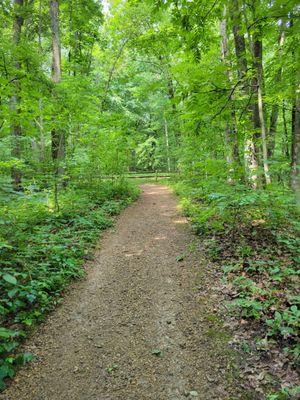 Mound Trail