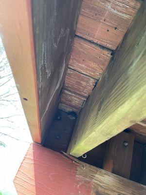 Customer claimed there were a ton of wasps out back,nest located under deck.