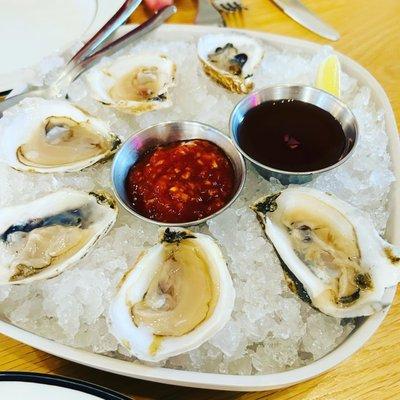 Oysters