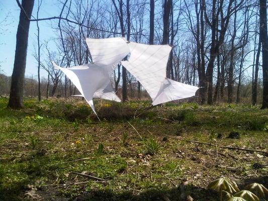 UofM Architectural Students Tensile Fabric Installations