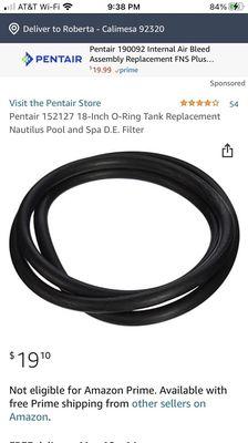 The $20.00 O-ring to stop my filter system from leaking. KP pools were adamant that they had to replace the entire system at $1700.