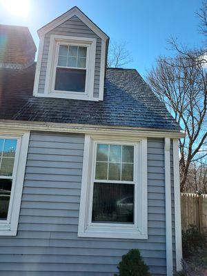 roof wash full of black mold and moss . black mold is gone moss is white dead to the roots