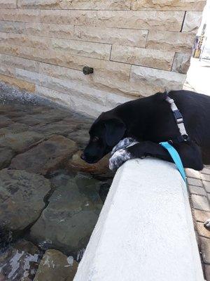 Diego was about 9 m/o and exploring the fountain water.