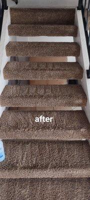 International carpet cleaning