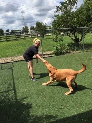 Bring your dogs for play time in the play yard with their very own caretaker!