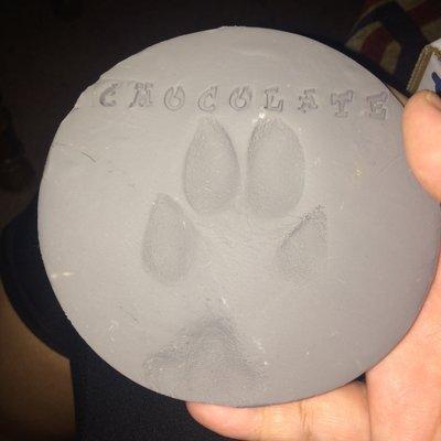 This is so disheartening. I was promised a beautiful clay paw print, and this isn't that.