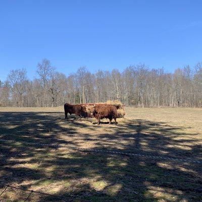 Stuart Family Farm