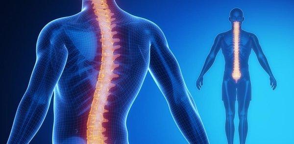 Specialists in Spine Surgery