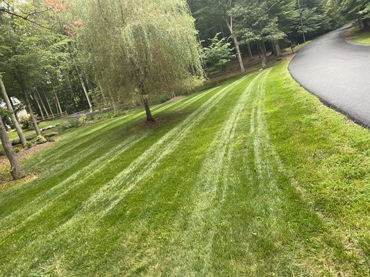 Midway Landscaping and Powerwash