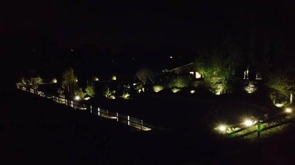 Landscape Lighting