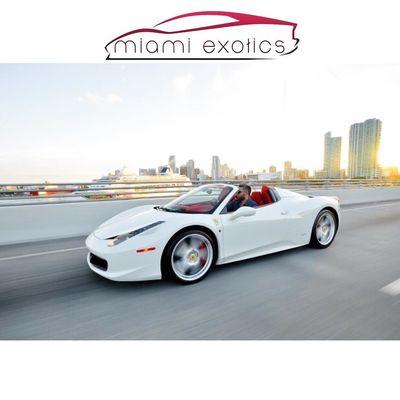 Miami Exotics