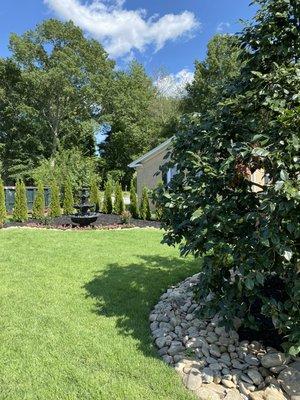 Our garden to look at while in the chair.