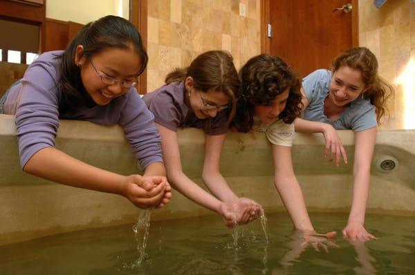 Kids learning about the mikveh