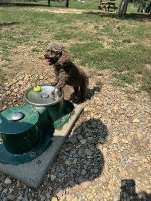 Water fountain