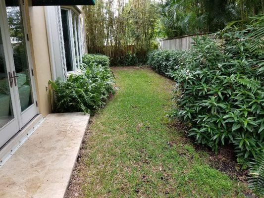 Fake-Grass-Marco-Island-Fort-Myers-Naples-Bonita-Springs-Sanibel-Island-Captiva-Island