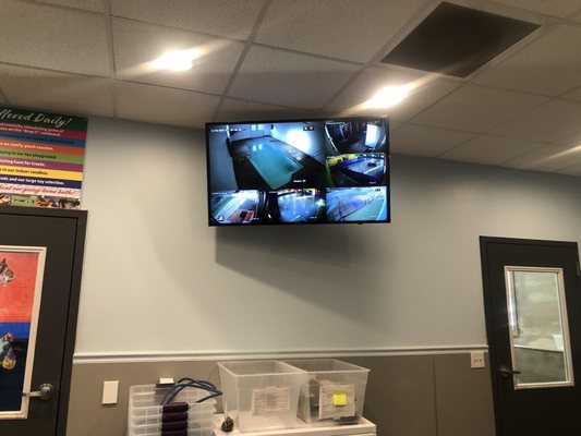 Surveillance screen in front lobby to see dog activity