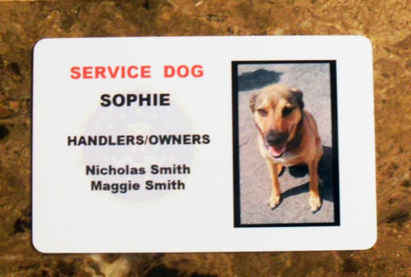 service animal tags emotional support animal tags www.emosdogtags.com cheap animal flights no apartment fee service dog